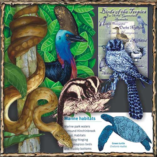 JungleNook Studio is settled amongst world heritage rainforest in Far North Queensland, Australia. (Artwork copyright Junglenook Studio 2007)